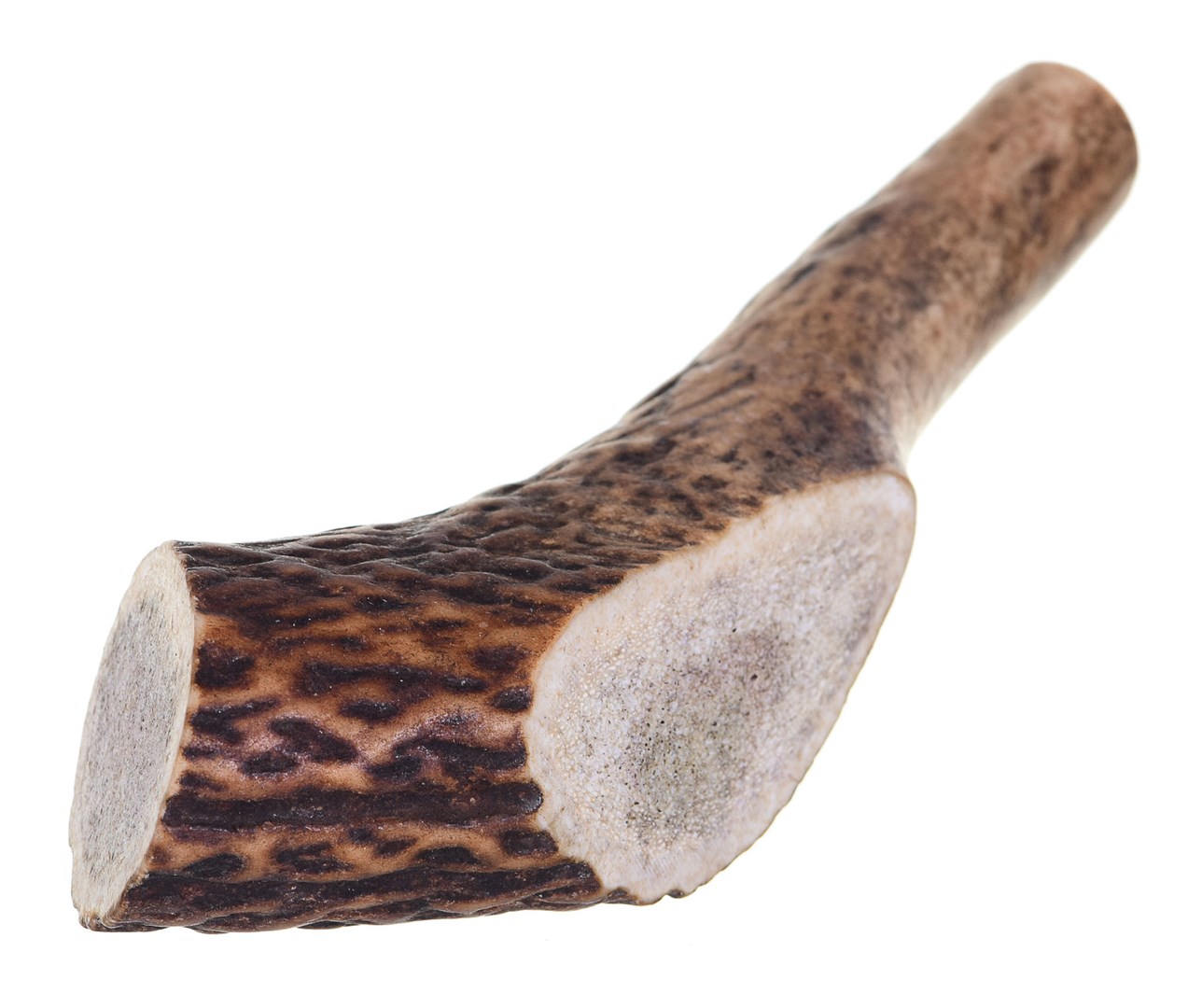 4DOGS - Deer antlers dog chew (hard) - XXL+ Image 1