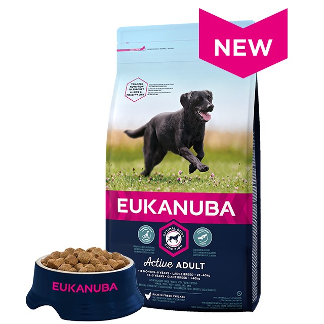 Eukanuba ADULT LARGE BREED 18 kg Chicken Image 1