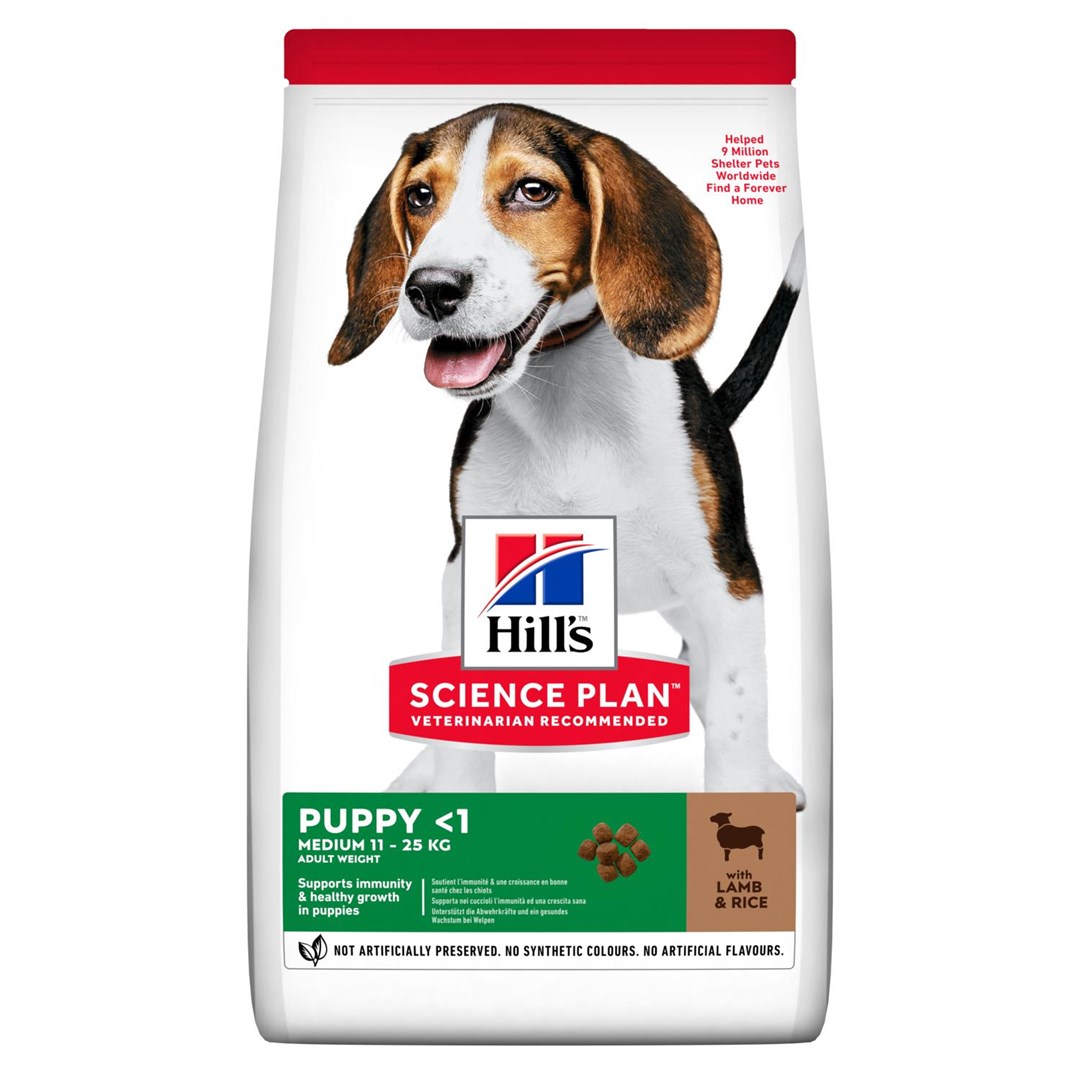 HILL