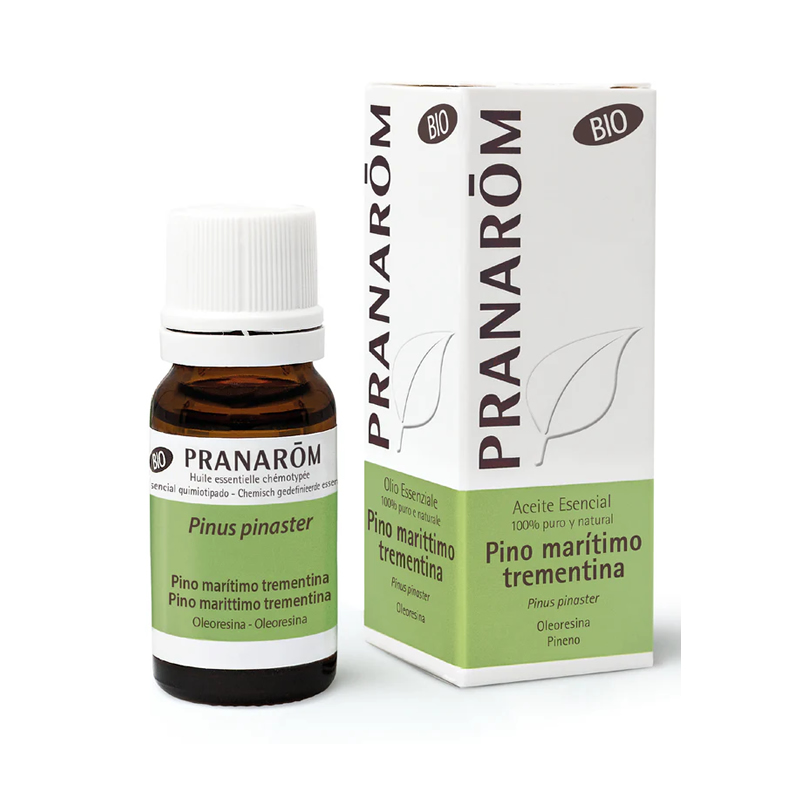 Organic Maritime Pine Turpentine Essential Oil 10ml Image 1