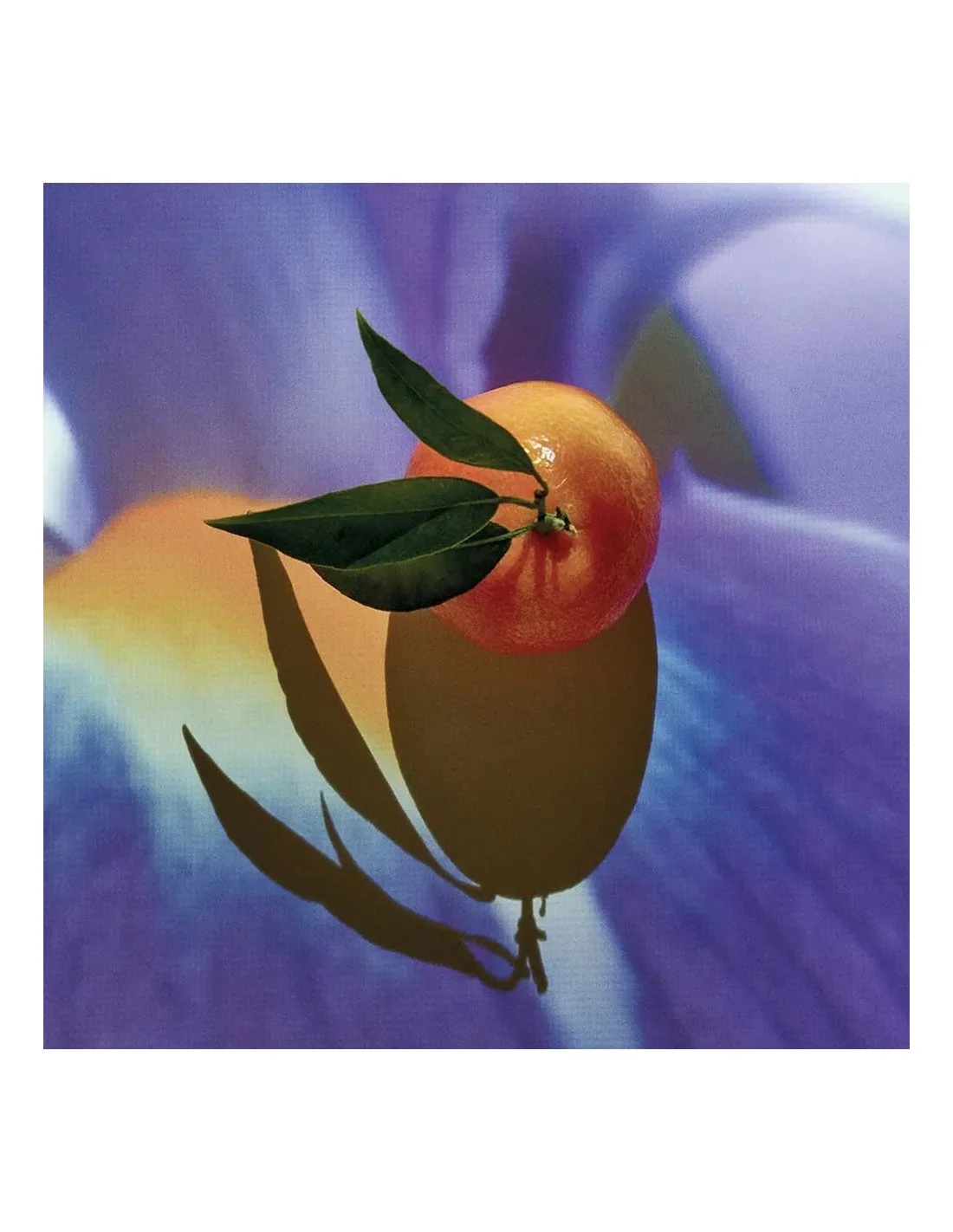 Loewe Solo Elixir 50 Vap M Image 1