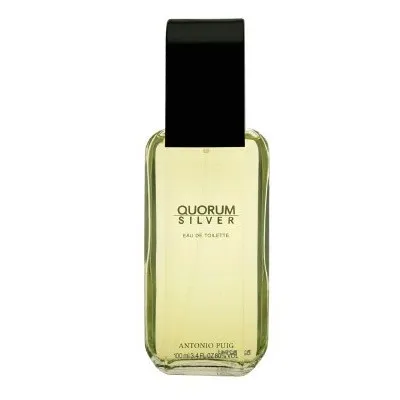 Puig Quorum Silver Eau De Toilette Spray 100ml Image 1