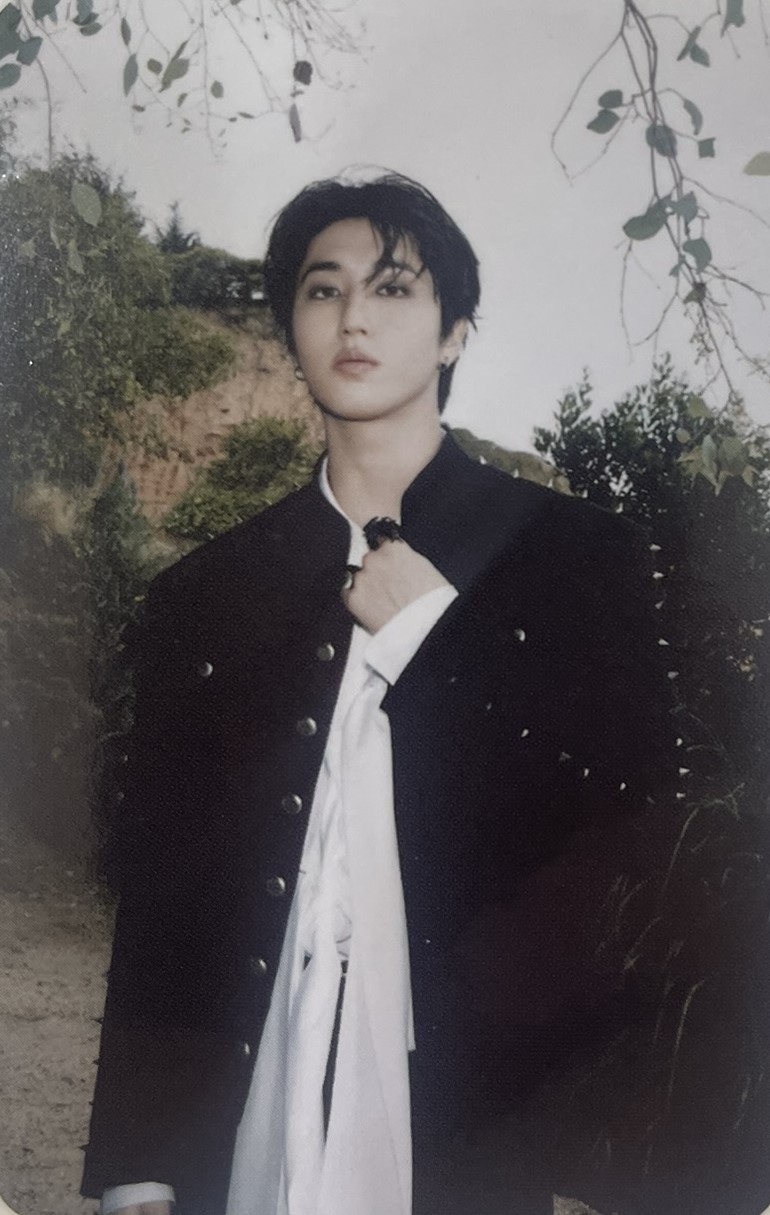 Stray Kids Official Photocard Do It - Han
