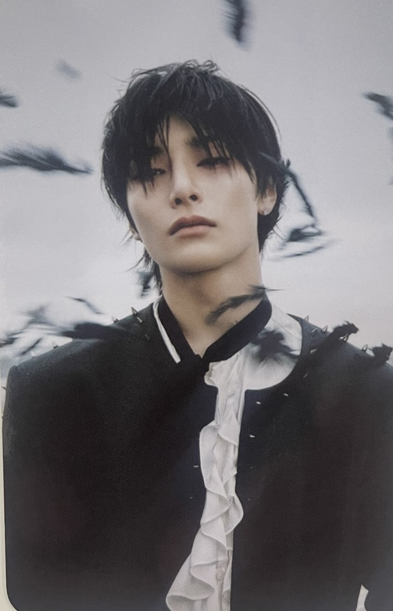 Stray Kids Official Photocard Do It - I.N
