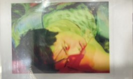 Enhypen Official Photocard Polaroid the sin : bliss